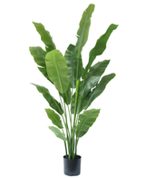 Kunstig Strelitzia Nicolai Deluxe 195cm