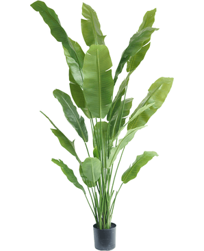 Kunstig Strelitzia Nicolai Deluxe 210cm
