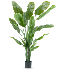 Kunstig Strelitzia Nicolai Deluxe 210cm