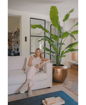 Kunstig Strelitzia Nicolai Deluxe 240cm