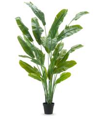 Kunstig Strelitzia Nicolai Deluxe 240cm
