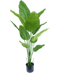 Kunstig Strelitzia Real Touch 150 cm