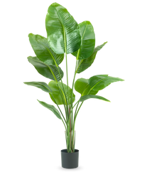 Kunstig Strelitzia Real Touch 150 cm