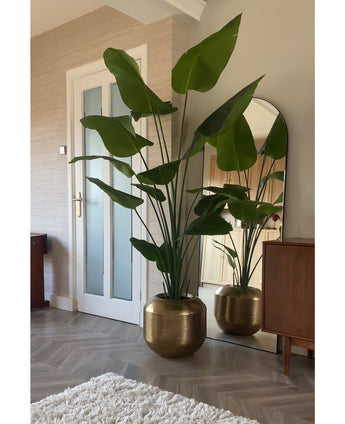 Kunstig Strelitzia Real Touch 210 cm