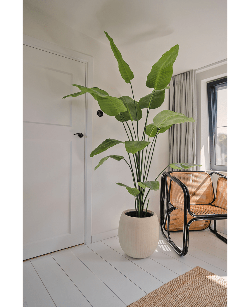 Kunstig Strelitzia Real Touch 210 cm