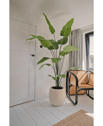 Kunstig Strelitzia Real Touch 210 cm