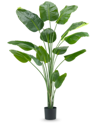 Kunstig Strelitzia Real Touch 210 cm