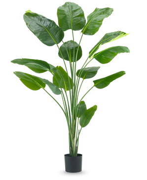 Kunstig Strelitzia Real Touch 210 cm