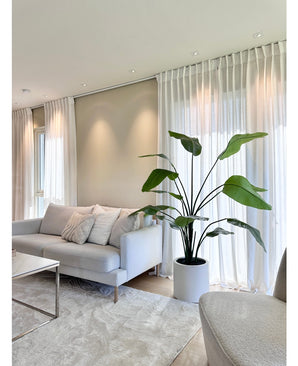 Kunstig Strelitzia Real Touch i Beige Potte 180cm