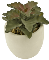 Kunstig Sukkulent Echeveria Ruffles i Krukke 15cm