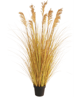 Kunstig Tørket Cortaderia Gress 150cm