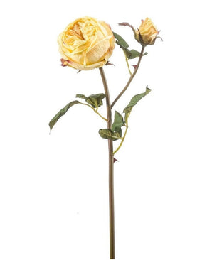 Kunstig Tørket Rose ''Cabbage'' Gul 55cm