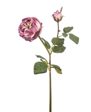 Kunstig Tørket Rose ''Cabbage'' Lilla 55cm