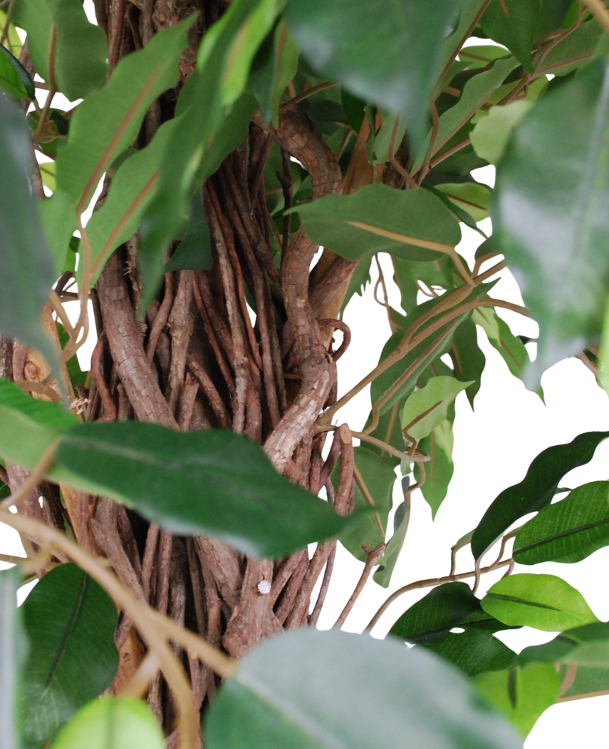 Kunstig Tropisk Fikus 180cm