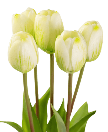 Kunstig Tulipanbukett Real Touch Grønn/hvit 40cm