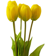 Kunstig Tulipanbukett Real Touch Gul 40cm