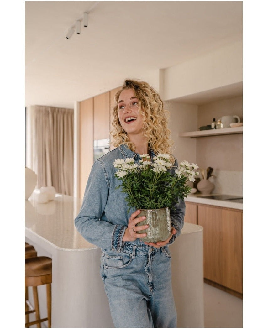 Kunstig Tusenfryd Hvit i Potte 31cm