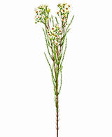 Kunstig Voksblomst Krem/Grønn 78cm