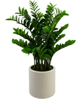 Kunstig Zamioculcas i Beige Krukke 120cm