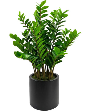 Kunstig Zamioculcas i Sort Krukke 120cm