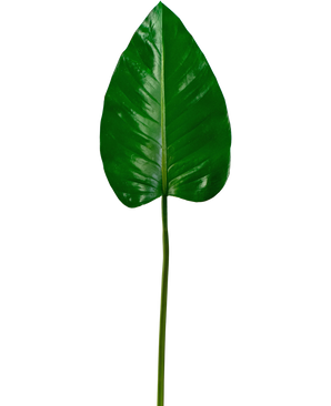 Kunstig blad Alocasia 78cm