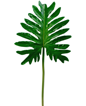 Kunstig  blad Philodendron 68 cm
