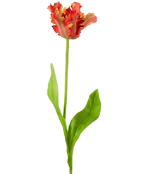 Kunstig blomst Fransk Parakeet Tulipan 76 cm rød/gul