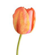 Kunstig blomst Fransk Tulipan 60 cm oransje