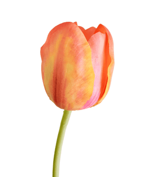 Kunstig blomst Fransk Tulipan 60 cm oransje
