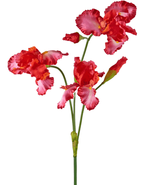 Kunstig blomstergren Iris Rød/Rosa 102cm