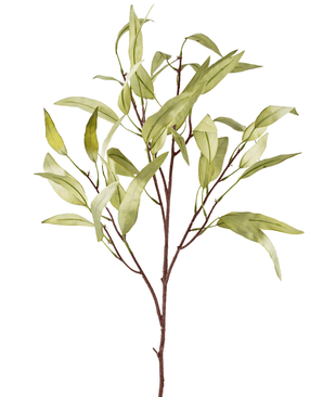 Kunstig gren Eucalyptus Niphophila 100 cm grønn