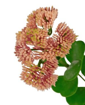 Kunstig gren Sedum 56 cm lys rosa