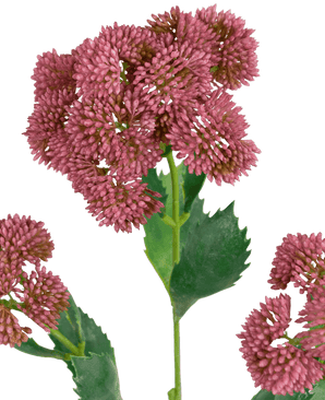 Kunstig gren Sedum Rosa 48cm