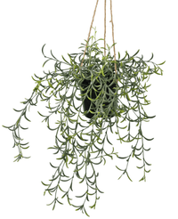 Kunstig hengende Senecio i potte 35cm