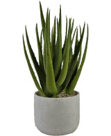 Kunstig plante Aloe Vera 43 cm