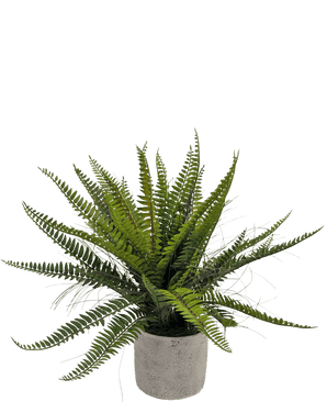 Kunstig plante Boston Fern 48 cm i dekorativ potte