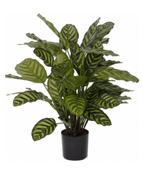 Kunstig plante Calathea 60 cm