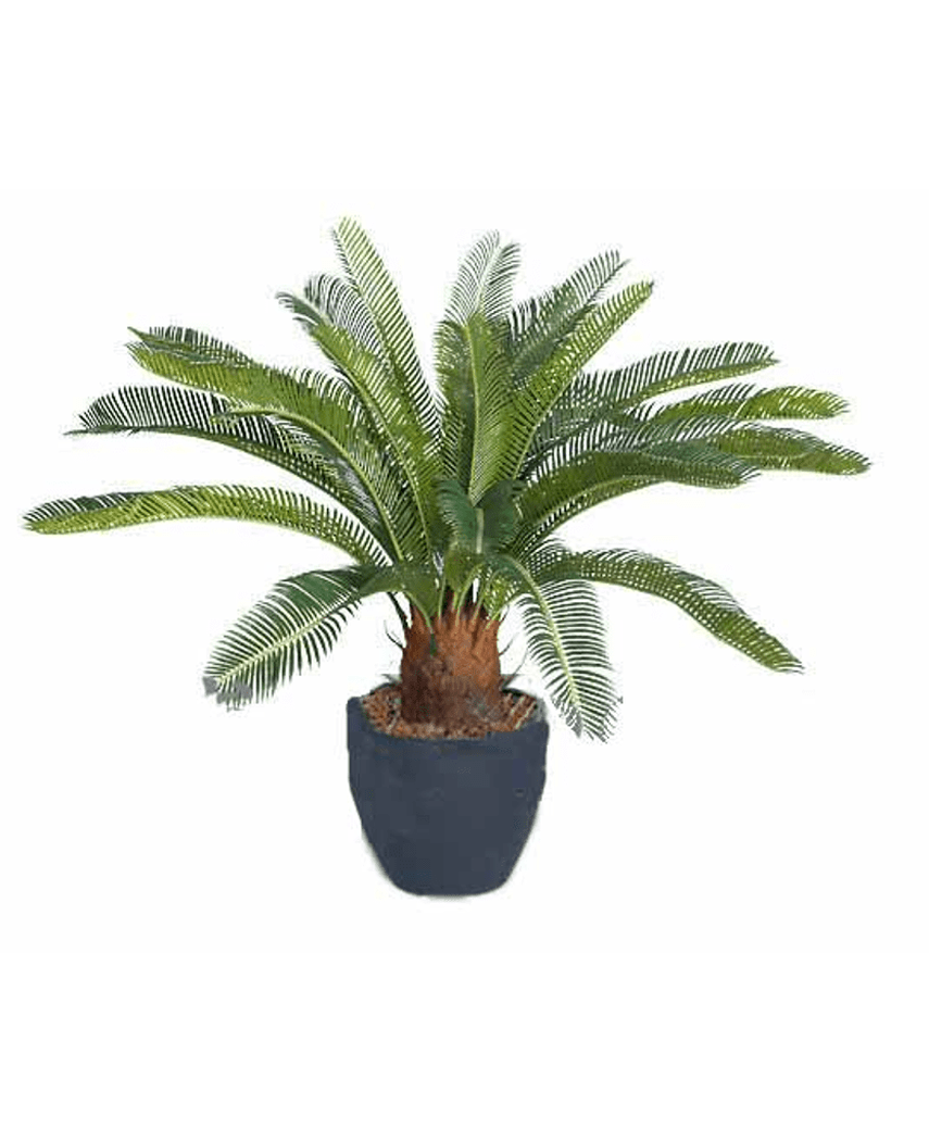 Kunstig plante Cycas 60 cm UV
