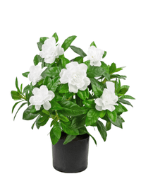 Kunstig plante Gardenia Hvit 39cm