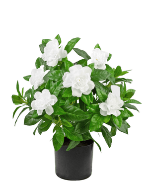Kunstig plante Gardenia Hvit 39cm