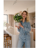Kunstig plante Gardenia Hvit 39cm
