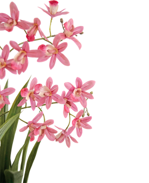 Kunstig plante Mini Cymbidium Real Touch 58 cm rosa