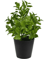 Kunstig plante Perilla 25 cm