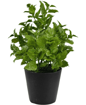 Kunstig plante Perilla 25 cm