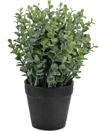 Kunstig plante Pumila 23 cm