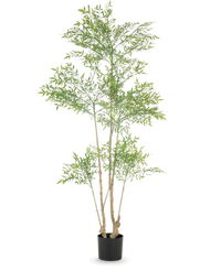 Kunstig plante Ruscus 180cm