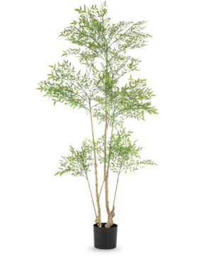Kunstig plante Ruscus 180cm