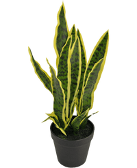 Kunstig plante Sansevieria Laurentii 44 cm