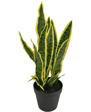 Kunstig plante Sansevieria Laurentii 44 cm