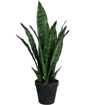 Kunstig plante Sansevieria Zeylanica 44 cm